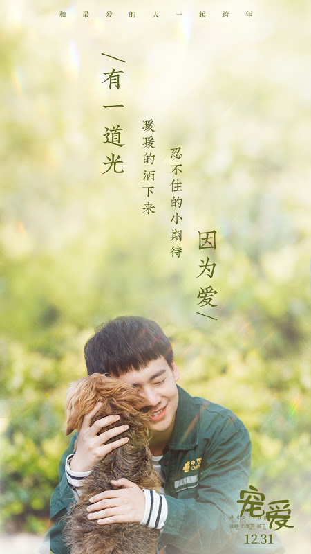 Adoring China Movie